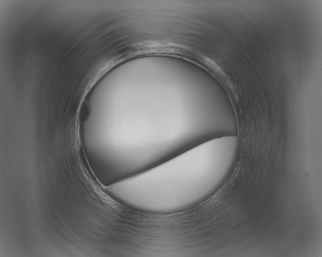X0000054471370200507291036