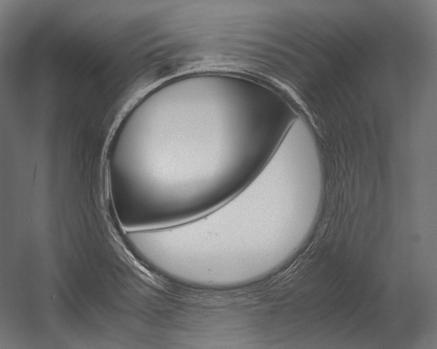 X0000054471371200507291036