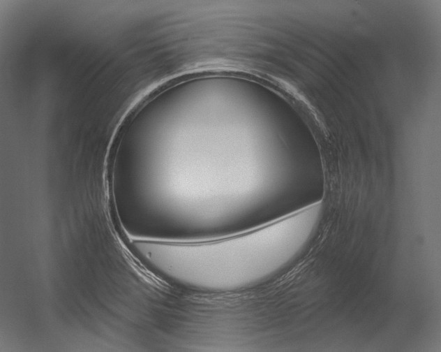 X0000054471372200507291036