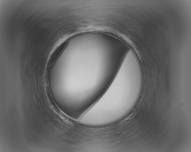X0000054471373200507291036