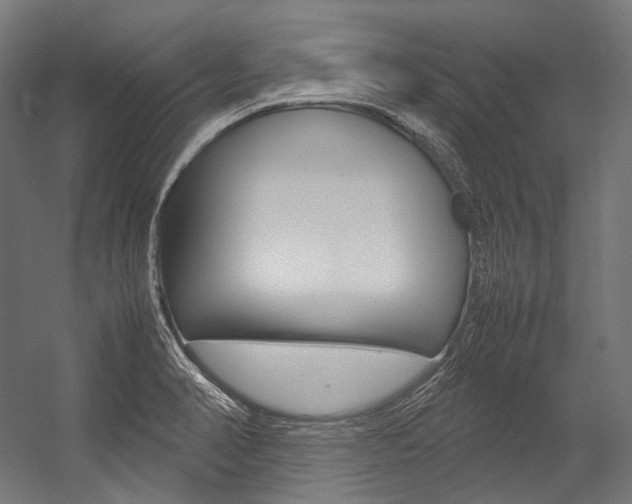 X0000054471374200507291036