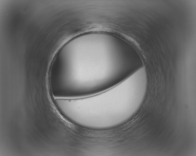 X0000054471375200507291036