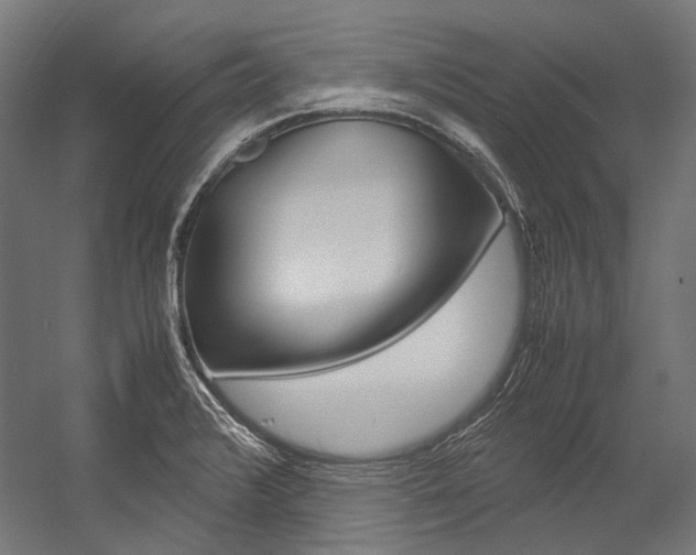 X0000054471376200507291036
