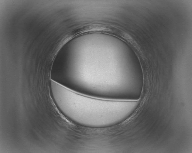 X0000054471377200507291036