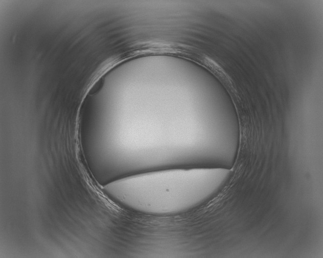 X0000054471378200507291036