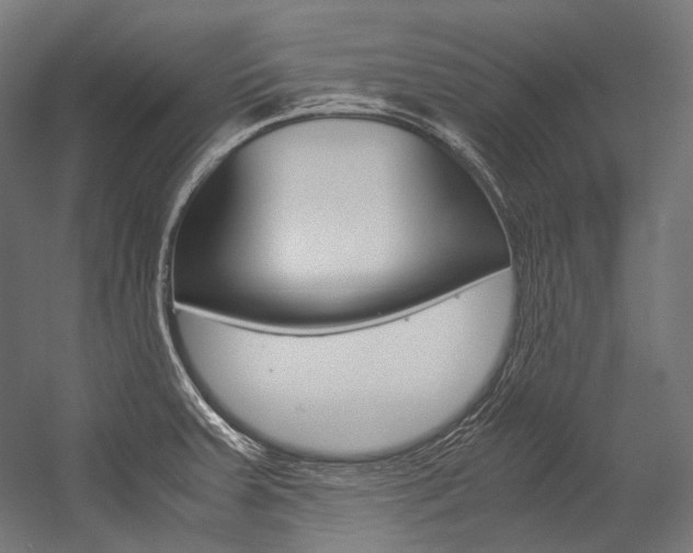 X0000054471379200507291036