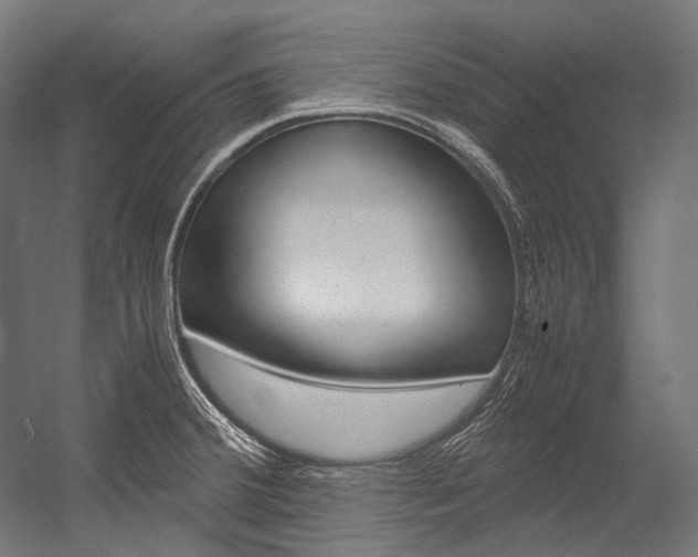 X0000054471380200507291036
