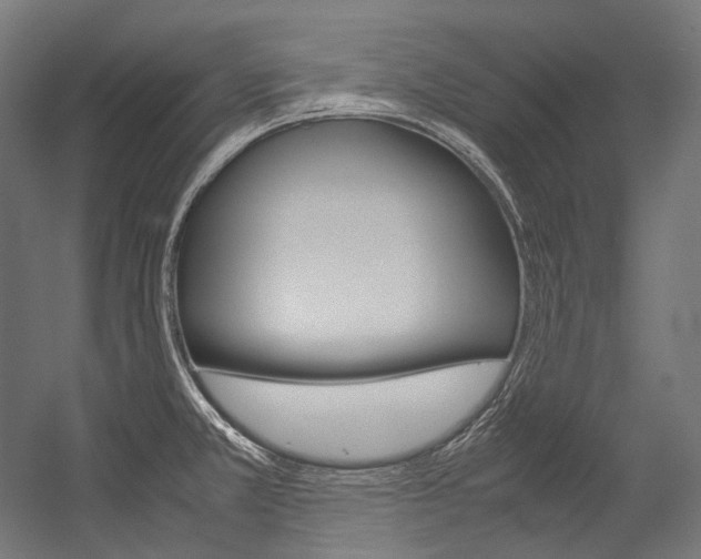 X0000054471381200507291036