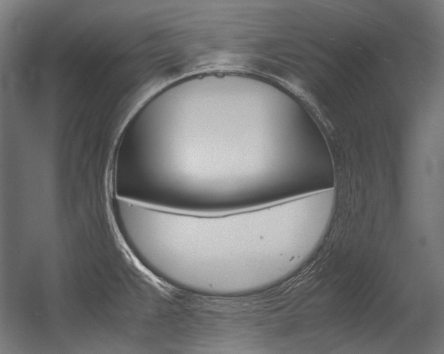 X0000054471383200507291036