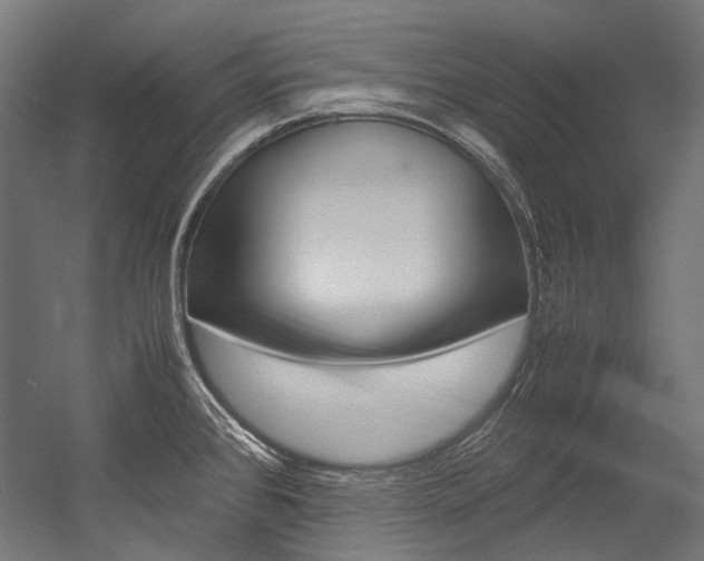 X0000054471384200507291036