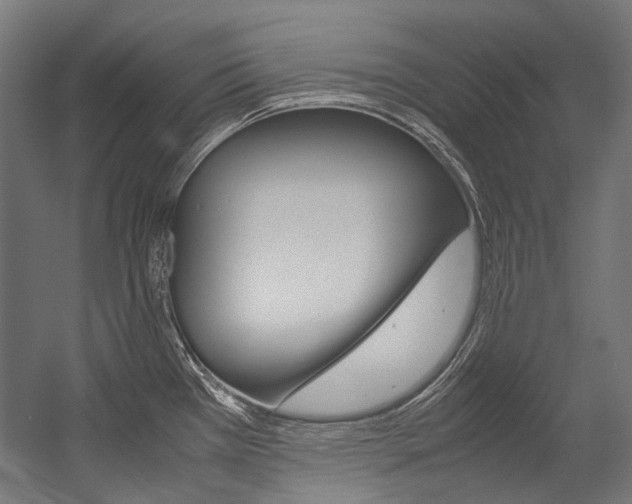 X0000054471385200507291036