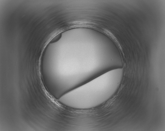 X0000054471386200507291036