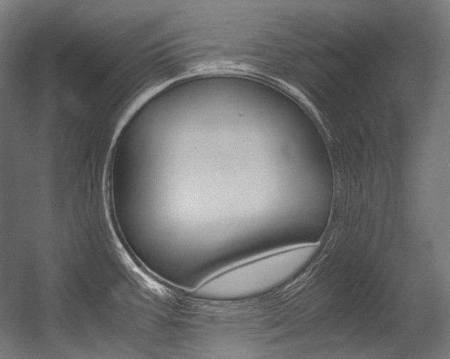 X0000054471387200507291036