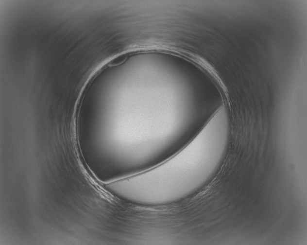 X0000054471388200507291036