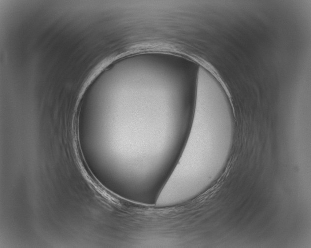 X0000054471389200507291036