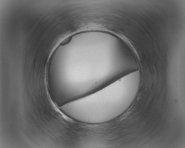 X0000054471390200507291036
