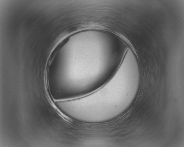X0000054471391200507291036