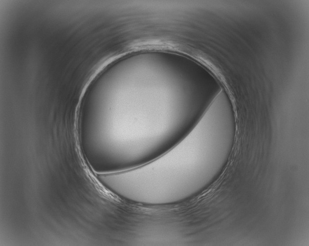 X0000054471392200507291036