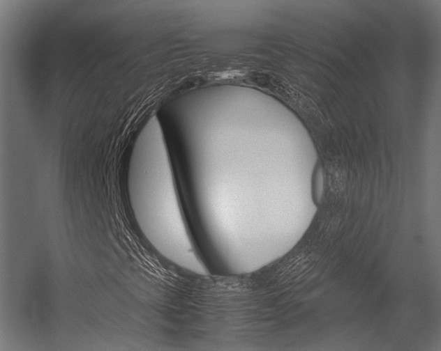 X0000054471393200507291035