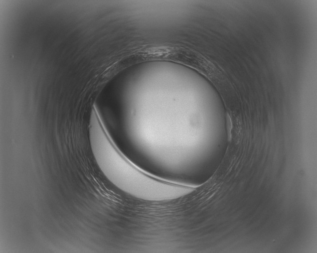 X0000054471394200507291035