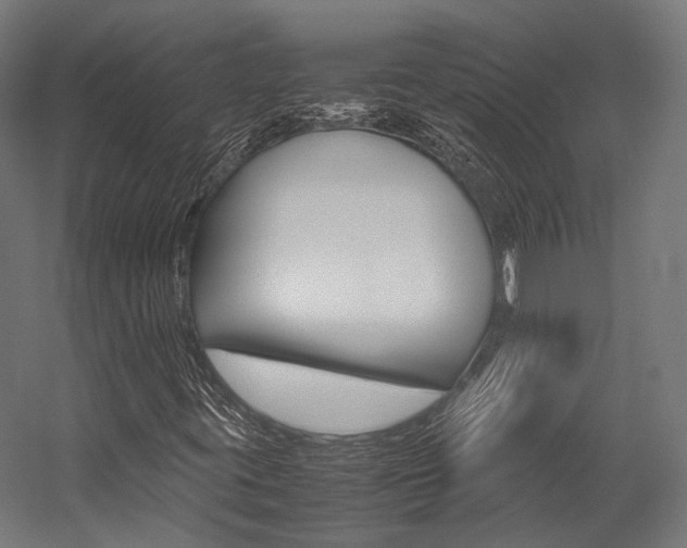 X0000054471395200507291035