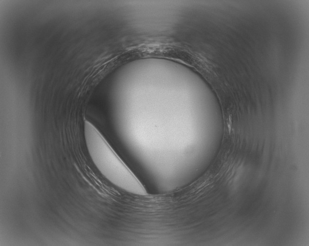 X0000054471396200507291035