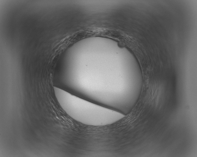 X0000054471397200507291035