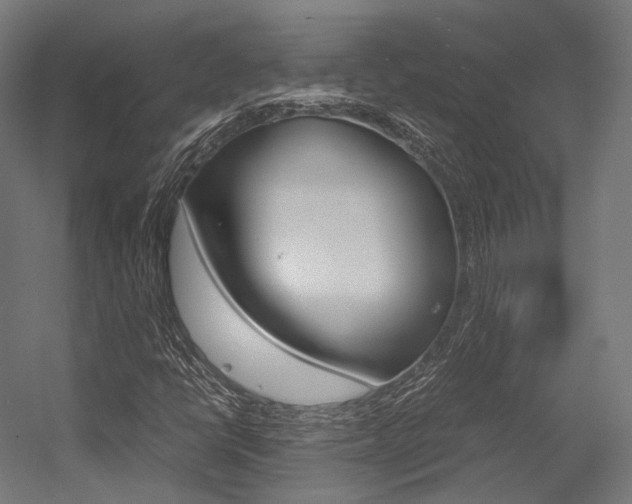 X0000054471398200507291035