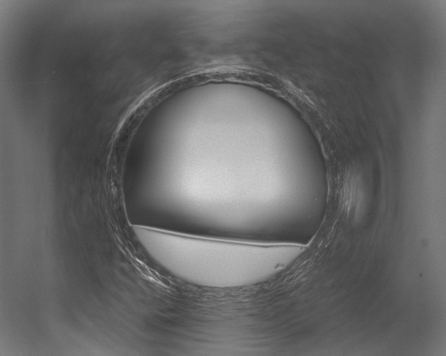 X0000054471400200507291035