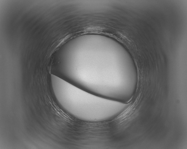 X0000054471401200507291035