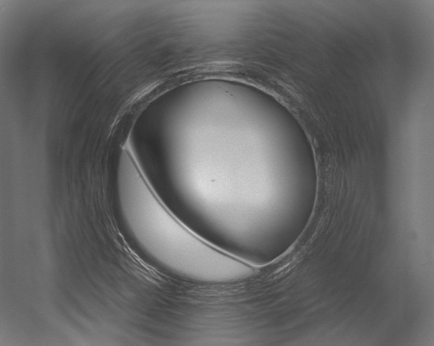 X0000054471402200507291035