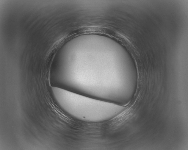 X0000054471403200507291035