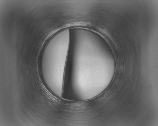 X0000054471404200507291035