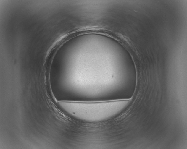 X0000054471406200507291035