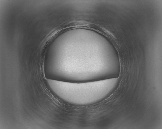 X0000054471407200507291035