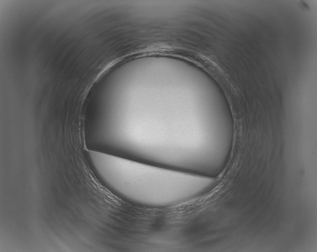 X0000054471409200507291035