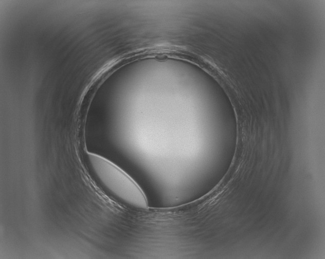 X0000054471410200507291035