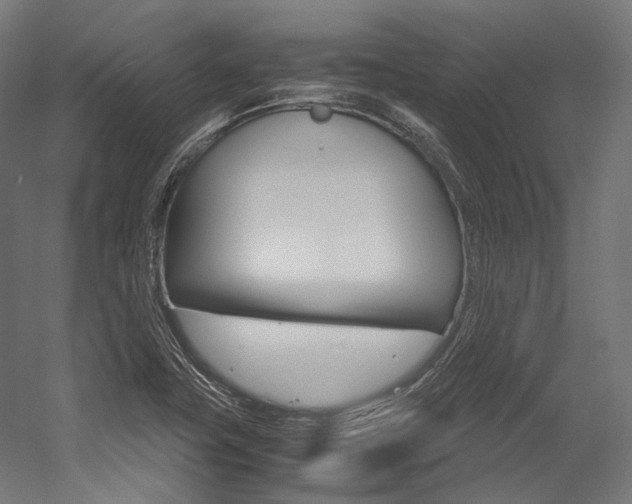 X0000054471411200507291035