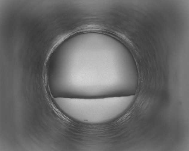 X0000054471413200507291035