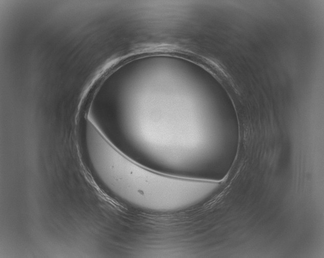 X0000054471414200507291035