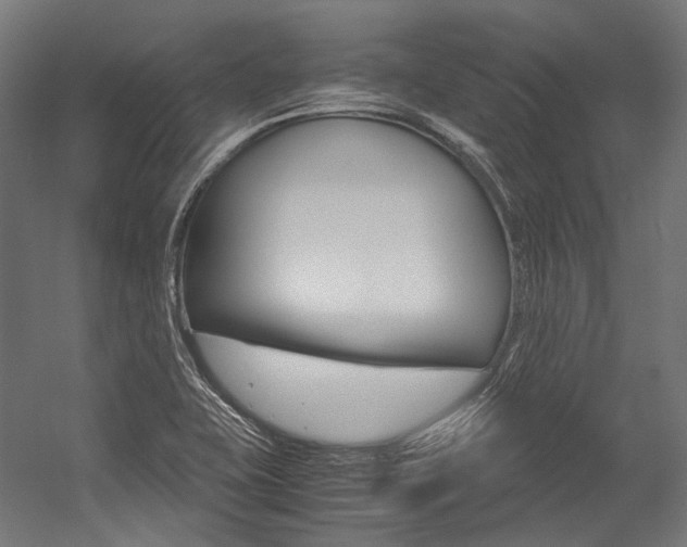 X0000054471415200507291035