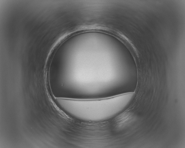 X0000054471416200507291035