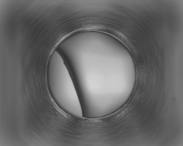 X0000054471417200507291035