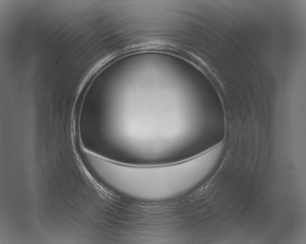 X0000054471418200507291035