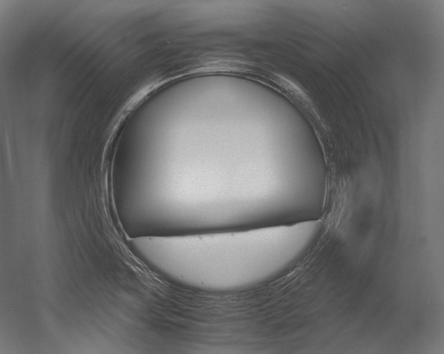 X0000054471419200507291035