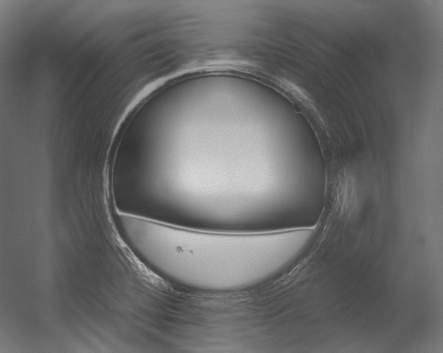 X0000054471420200507291035