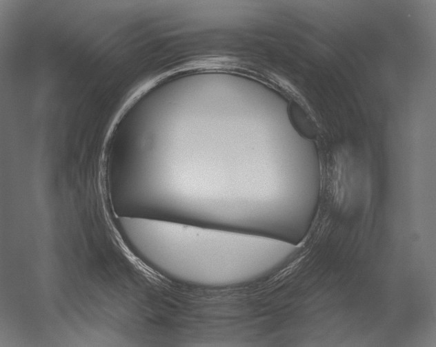 X0000054471421200507291035
