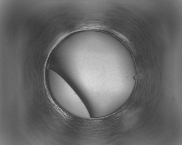 X0000054471423200507291036