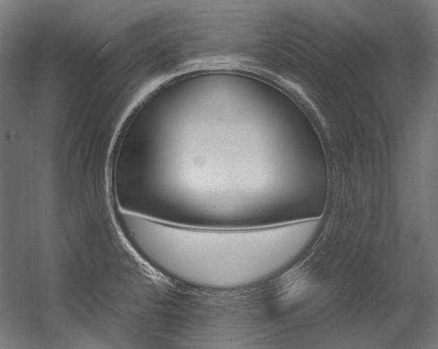 X0000054471424200507291036