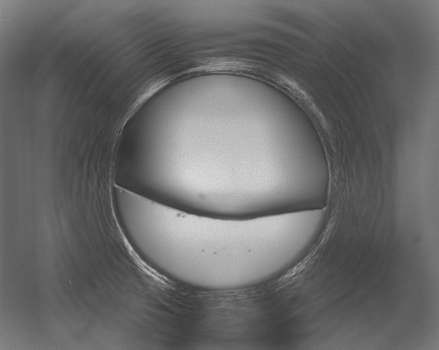 X0000054471425200507291036